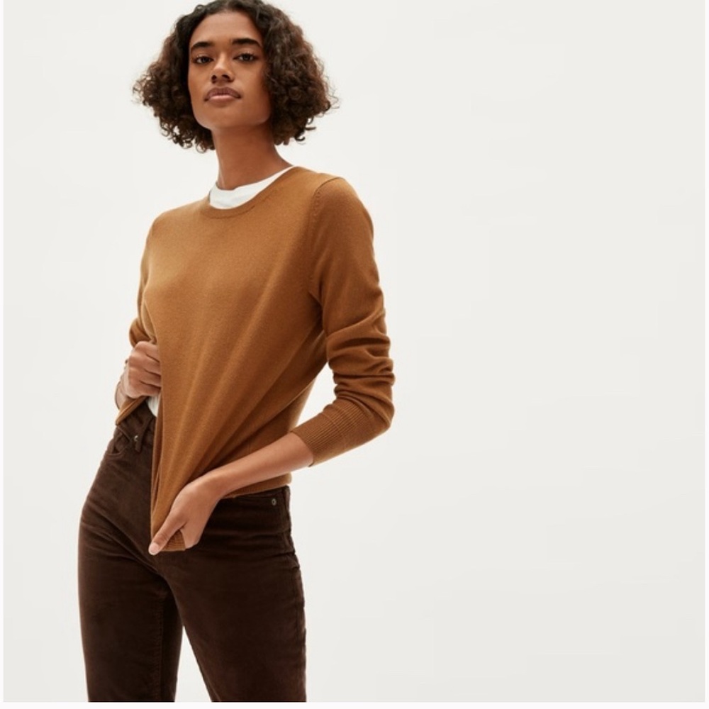 Everlane cashmere crew in GUC